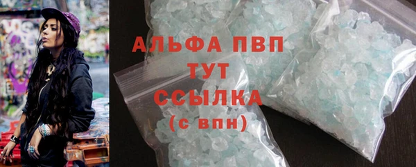 стаф Богородск
