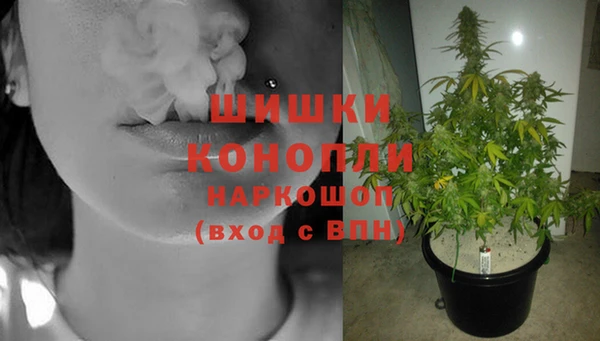 стаф Богородск