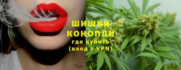 марки lsd Белокуриха