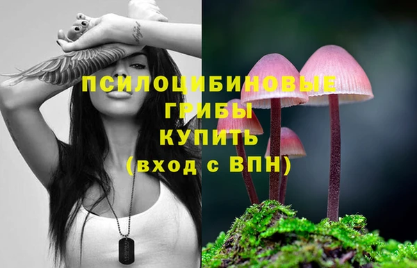 марки lsd Белокуриха